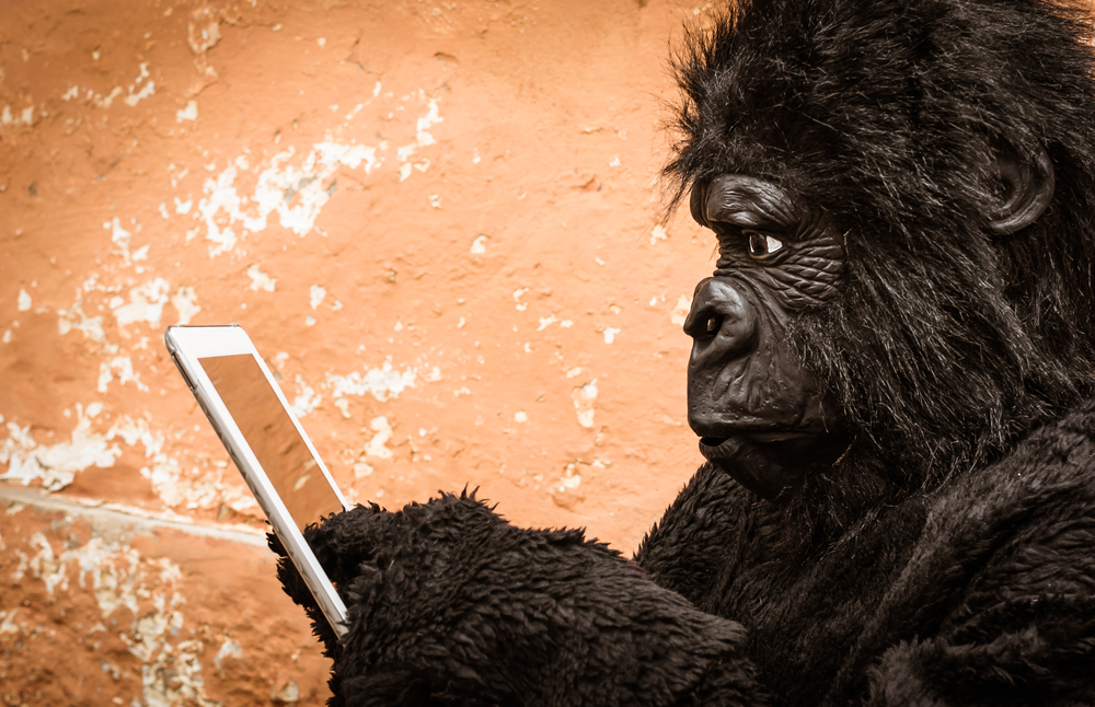 Gorilla with mobile phone