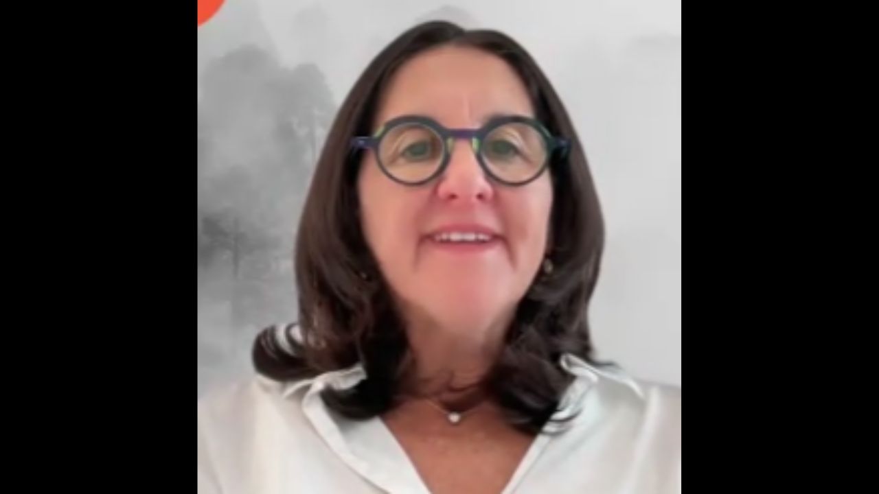 Tracey Hayim has long brown hair and is smiling.